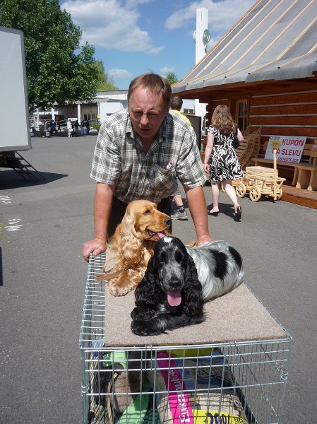 Litomerice 2009 072.jpg